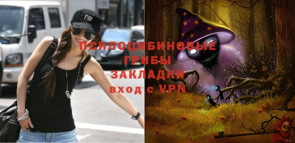 дурь Алзамай
