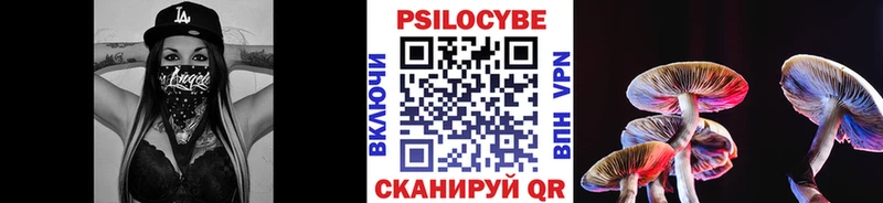 цена   Белоярский  Псилоцибиновые грибы мицелий 